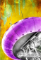 Preview: - Kopie